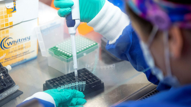 COVID-19: 14 cas importés d’Omicron à Quang Nam ảnh 1 COVID-19: 14 cas importés d’Omicron à Quang Nam ảnh 1