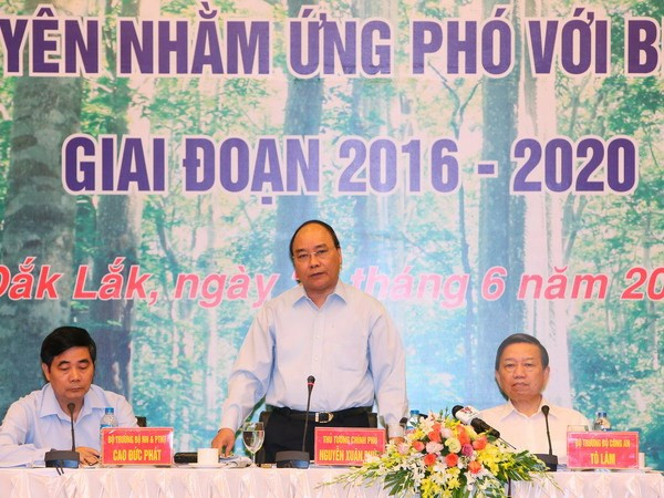 Tay Nguyen : mobiliser les synergies pour le développement durable des forêts ảnh 1 Tay Nguyen : mobiliser les synergies pour le développement durable des forêts ảnh 1