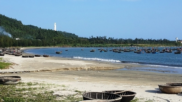 Pour protéger les écosystèmes forestiers et côtiers de la ville de Dà Nang ảnh 1 Pour protéger les écosystèmes forestiers et côtiers de la ville de Dà Nang ảnh 1