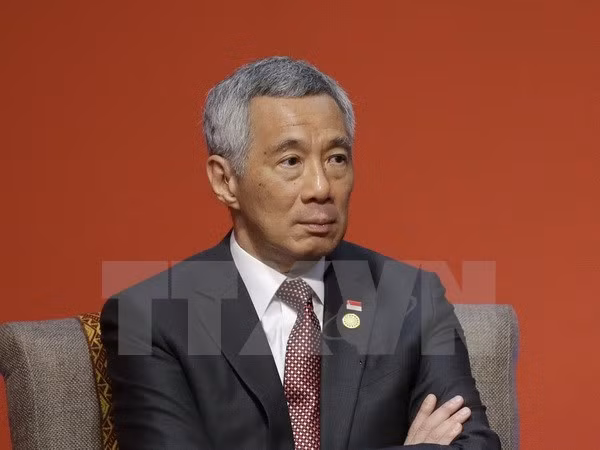 Promouvoir des relations de coopération satisfaisantes Vietnam-Singapour ảnh 1