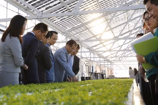 FLC prévoit de verser 1,5 milliard de dollars dans l'agriculture ảnh 1