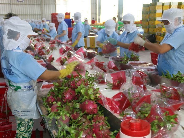 3,3 milliards de dollars des exportations de fruits et légumes de janvier à octobre ảnh 1 3,3 milliards de dollars des exportations de fruits et légumes de janvier à octobre ảnh 1