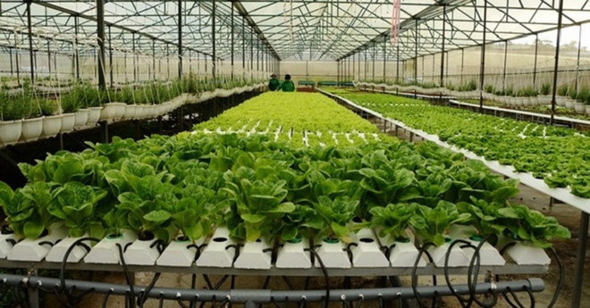 Accélération de l’application de la révolution industrielle 4.0 dans l’agriculture ảnh 1 Accélération de l’application de la révolution industrielle 4.0 dans l’agriculture ảnh 1