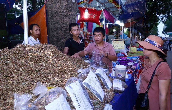 La connectivité aide les coopératives à se renforcer ảnh 1 La connectivité aide les coopératives à se renforcer ảnh 1