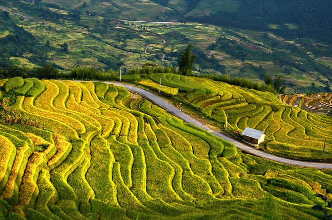 Le festival d'automne de Bat Xat 2018 débute à Lao Cai ảnh 1 Le festival d'automne de Bat Xat 2018 débute à Lao Cai ảnh 1