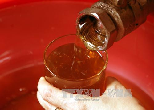 Le Vietnam classé au 2e rang des pays asiatiques exportateurs de miel ảnh 1