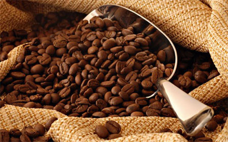 Le café, premier produit vietnamien d’exportation vers l’Algérie ảnh 1 Le café, premier produit vietnamien d’exportation vers l’Algérie ảnh 1