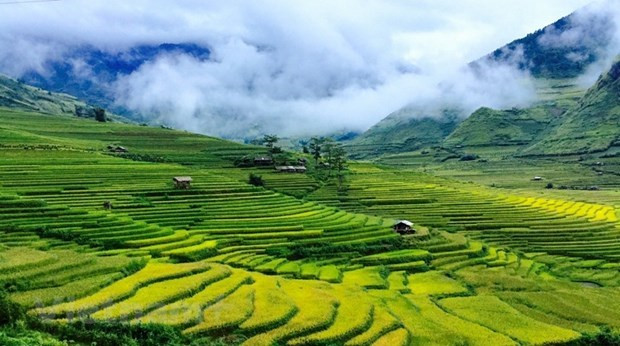 De beaux endroits à ne pas manquer à Mu Cang Chai ảnh 1 De beaux endroits à ne pas manquer à Mu Cang Chai ảnh 1