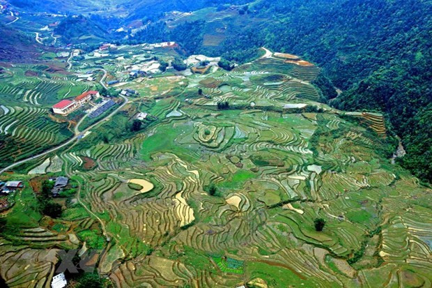 Lao Cai: de nombreuses mesures pour relancer le tourisme après le COVID-19 ảnh 2 Lao Cai: de nombreuses mesures pour relancer le tourisme après le COVID-19 ảnh 2
