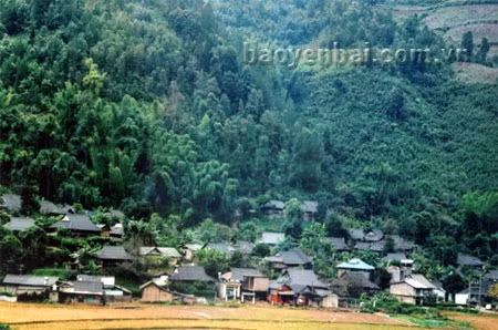 De beaux endroits à ne pas manquer à Mu Cang Chai ảnh 6