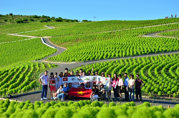 Le Vietnam et le Japon cherchent à régler la surfréquentation des sites touristiques ảnh 2