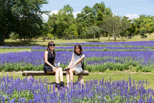 Le Vietnam et le Japon cherchent à régler la surfréquentation des sites touristiques ảnh 3
