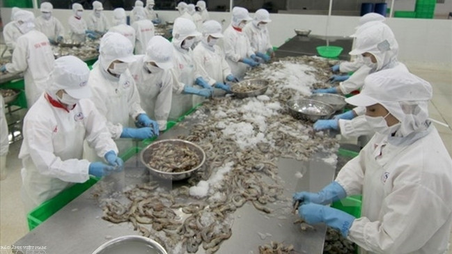 APEC-2017 : une bonne chance pour les entreprises vietnamiennes d’accéder au marché australien ảnh 1 APEC-2017 : une bonne chance pour les entreprises vietnamiennes d’accéder au marché australien ảnh 1