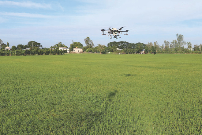 Pulvérisation de pesticides par drone sur les rizières dans le district de Cao Lanh, province de Đông Tháp. Photo : VNA/CVN Pulvérisation de pesticides par drone sur les rizières dans le district de Cao Lanh, province de Đông Tháp. Photo : VNA/CVN