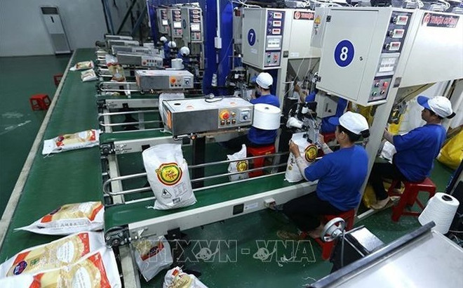 Le prix à l’export du riz vietnamien en tête dans le monde ảnh 2