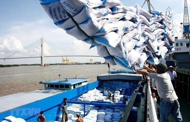Le prix à l’export du riz vietnamien en tête dans le monde ảnh 1