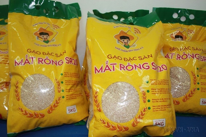 Le riz de haute qualité Mat rông SR20. Photo : VNA/CVN Le riz de haute qualité Mat rông SR20. Photo : VNA/CVN