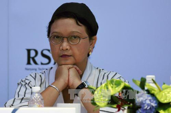 L'Indonésie privilégie de la coopération avec l'Afrique ảnh 1 L'Indonésie privilégie de la coopération avec l'Afrique ảnh 1