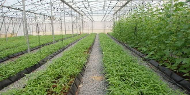 Dak Nông lance un appel aux investisseurs dans le tourisme, l’agriculture et la sylviculture ảnh 1