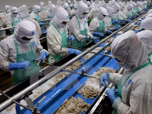 Vietnam-Bruneï: Objectif 500 millions de dollars d'échanges commerciaux en 2025 ảnh 1 Vietnam-Bruneï: Objectif 500 millions de dollars d'échanges commerciaux en 2025 ảnh 1