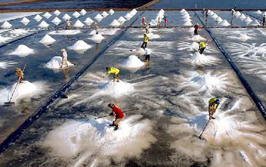 Concours internationaux de photos: Le Vietnam remporte sept médailles d’or ảnh 1
