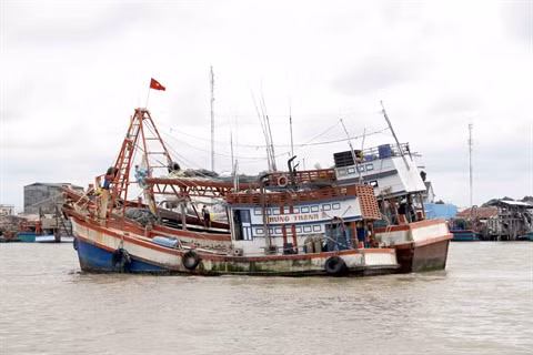 Le gouvernement aide les pêcheurs à construire des navires de forte puissance ảnh 2