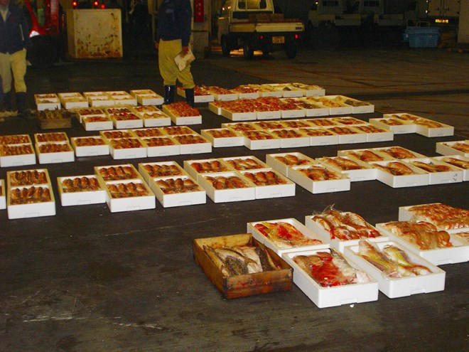 Aquaculture: des entreprises japonaises souhaitent renforcer leurs exportations au Vietnam ảnh 1 Aquaculture: des entreprises japonaises souhaitent renforcer leurs exportations au Vietnam ảnh 1