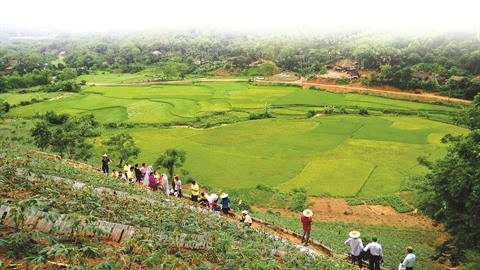 Des villages climato-intelligents pour améliorer la sécurité alimentaire et la résilience ảnh 1 Des villages climato-intelligents pour améliorer la sécurité alimentaire et la résilience ảnh 1