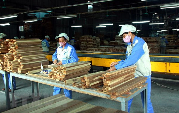 Forte croissance des exportations nationales de bois dans de nombreux marchés ảnh 1 Forte croissance des exportations nationales de bois dans de nombreux marchés ảnh 1