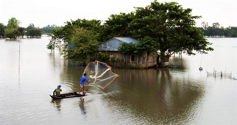 Le delta du Mékong se mobilise au face au changement climatique ảnh 1 Le delta du Mékong se mobilise au face au changement climatique ảnh 1