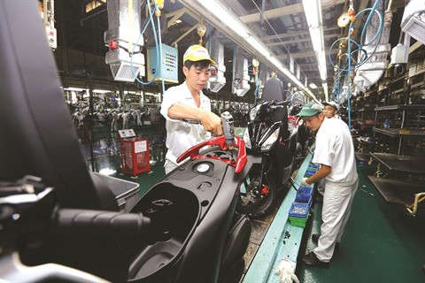 Travailleurs rapatriés: une richesse inexploitée ảnh 3