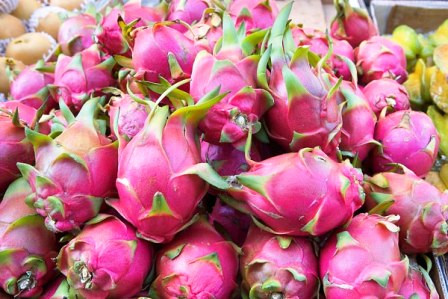 Les exportations nationales de fruits et légumes sont au beau fixe ảnh 1 Les exportations nationales de fruits et légumes sont au beau fixe ảnh 1