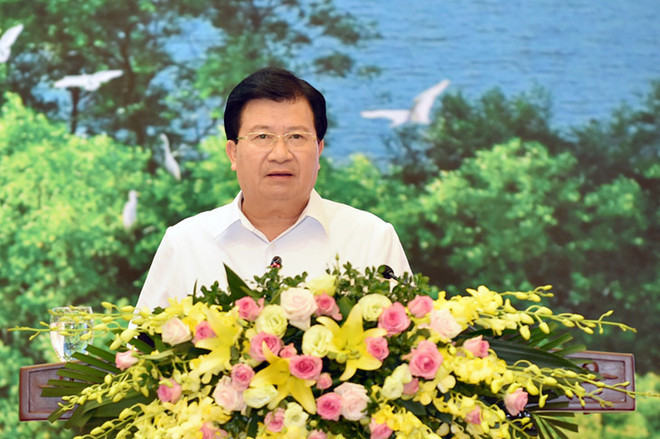 Vers un développement durable de la sylviculture ảnh 1