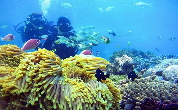 Découvrez les destinations préférées des touristes vietnamiens ảnh 4 Découvrez les destinations préférées des touristes vietnamiens ảnh 4