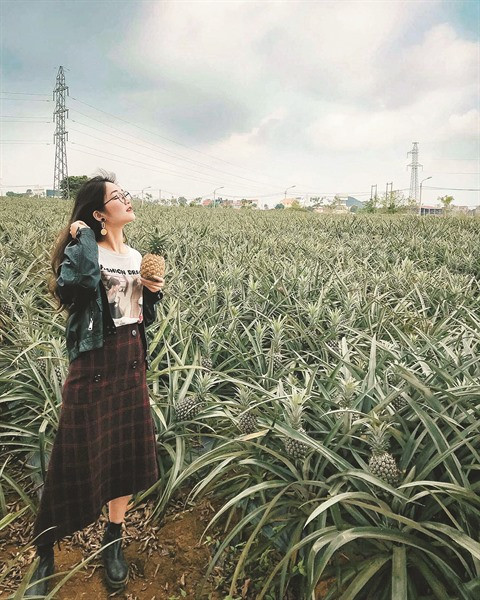 Un champ d’ananas pour affoler son compteur de "likes" ảnh 2 Un champ d’ananas pour affoler son compteur de "likes" ảnh 2