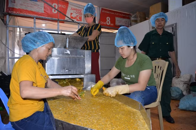 Des invalides de guerre prospères à Hat Lot ảnh 2