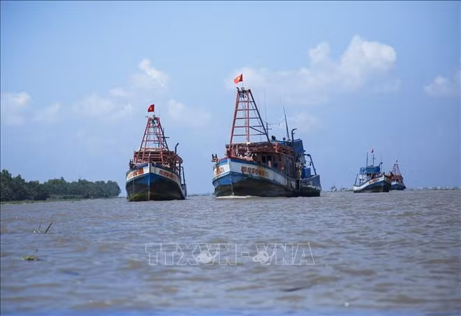 Pendant 2 trimestres consécutifs, Kiên Giang n'a détecté aucun bateau de pêche coupable d’INN ảnh 1 Pendant 2 trimestres consécutifs, Kiên Giang n'a détecté aucun bateau de pêche coupable d’INN ảnh 1