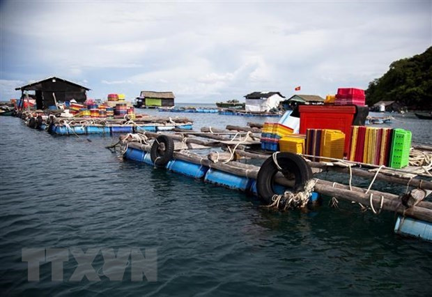 Produits aquatiques: s'orienter vers une exploitation et une production durables ảnh 2 Produits aquatiques: s'orienter vers une exploitation et une production durables ảnh 2