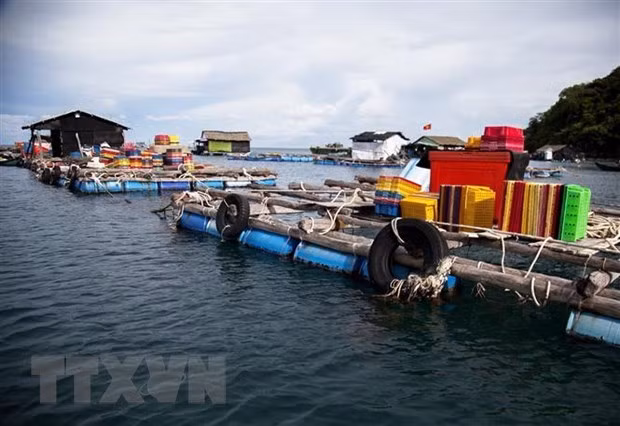 Produits aquatiques: s'orienter vers une exploitation et une production durables ảnh 2