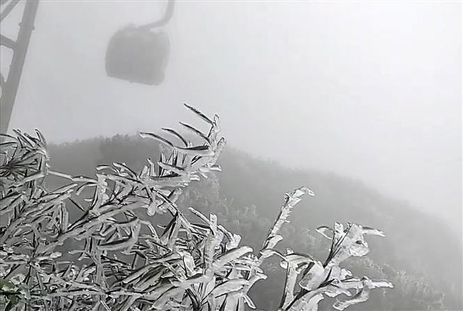 Lao Cai : du givre sur le mont Fansipan au coeur du printemps ​ ảnh 1