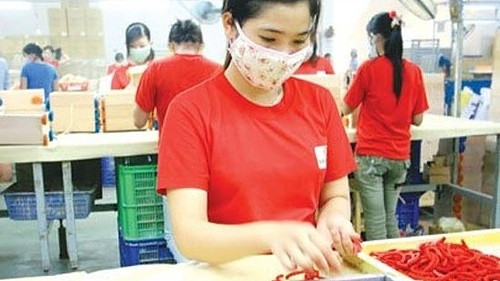 La plupart des entreprises privées optimistes sur les perspectives d’investissement au Vietnam ảnh 1 La plupart des entreprises privées optimistes sur les perspectives d’investissement au Vietnam ảnh 1