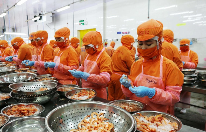 Renforcement de la coopération entre les entreprises vietnamiennes et singapouriennes ảnh 1 Renforcement de la coopération entre les entreprises vietnamiennes et singapouriennes ảnh 1