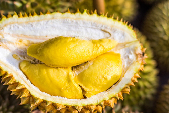 Promouvoir le durian vietnamien sur le marché australien ảnh 1 Promouvoir le durian vietnamien sur le marché australien ảnh 1