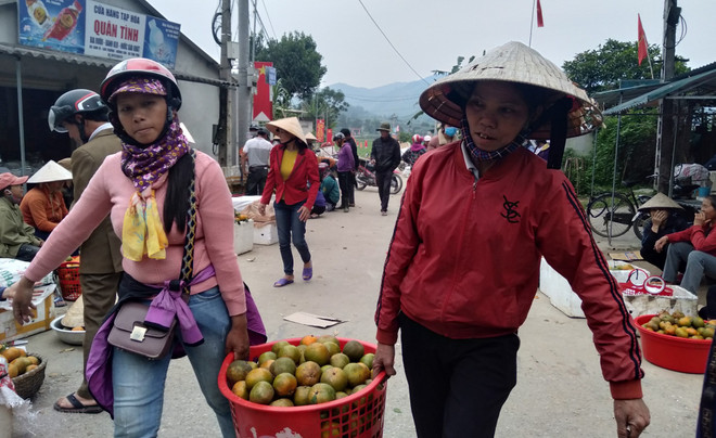 L'orange «Bu», un produit agricole clé du district de Huong Son (Ha Tinh) ảnh 3 L'orange «Bu», un produit agricole clé du district de Huong Son (Ha Tinh) ảnh 3