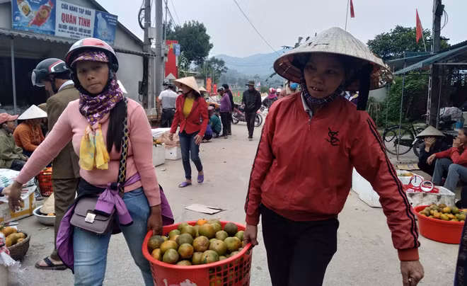 L'orange «Bu», un produit agricole clé du district de Huong Son (Ha Tinh) ảnh 3