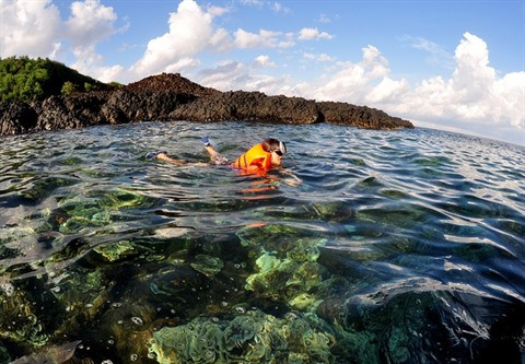 Gành Yên : l’aquarium terrestre ảnh 2 Gành Yên : l’aquarium terrestre ảnh 2