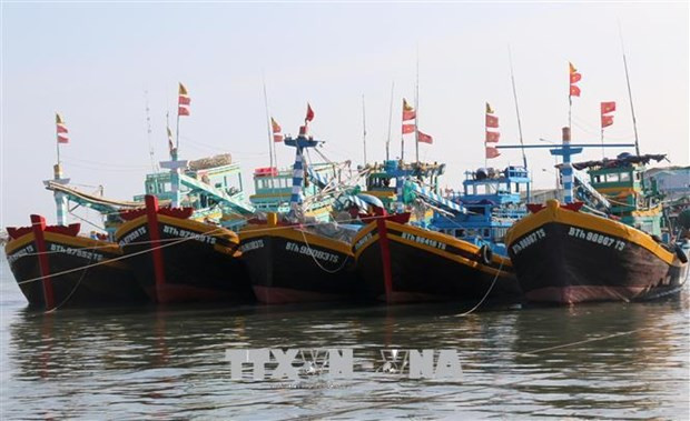 Le Vietnam est déterminé à faire retirer le « carton jaune » sur la pêche INN ảnh 1 Le Vietnam est déterminé à faire retirer le « carton jaune » sur la pêche INN ảnh 1