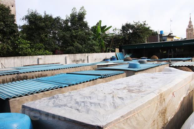 Nam Dinh : la fabrication artisanale de la saumure de poisson à Sa Chau ảnh 2 Nam Dinh : la fabrication artisanale de la saumure de poisson à Sa Chau ảnh 2