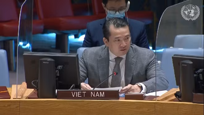 ONU : le Vietnam condamne l’utilisation d’armes chimiques ảnh 1