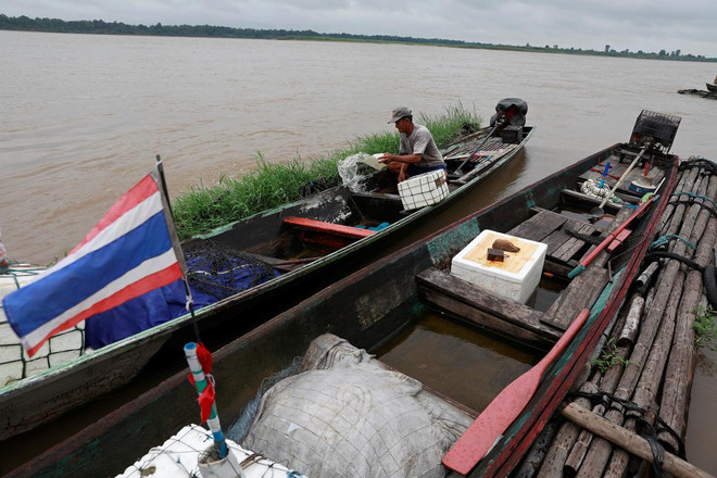 Thaïlande : le niveau du Mékong augmente régulièrement ảnh 1 Thaïlande : le niveau du Mékong augmente régulièrement ảnh 1